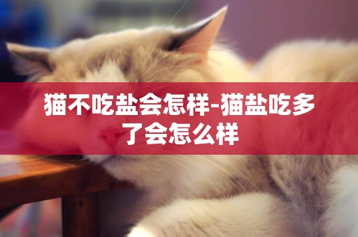 貓不吃鹽會怎樣-貓鹽吃多了會怎么樣