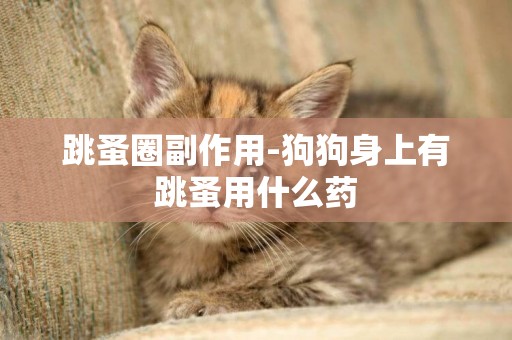 跳蚤圈副作用-狗狗身上有跳蚤用什么藥
