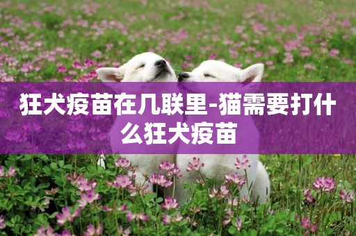 狂犬疫苗在幾聯里-貓需要打什么狂犬疫苗