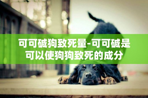 可可堿狗致死量-可可堿是可以使狗狗致死的成分