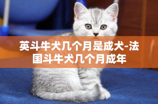 英斗牛犬幾個月是成犬-法國斗牛犬幾個月成年