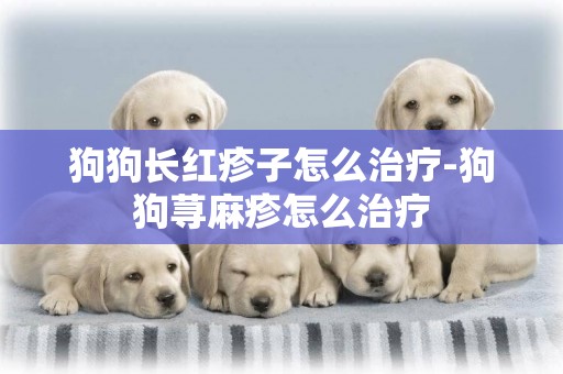 狗狗長紅疹子怎么治療-狗狗蕁麻疹怎么治療