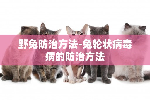 野兔防治方法-兔輪狀病毒病的防治方法