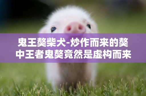 鬼王獒柴犬-炒作而來的獒中王者鬼獒竟然是虛構而來