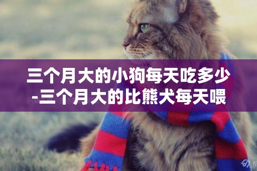 三個月大的小狗每天吃多少-三個月大的比熊犬每天喂多少狗糧