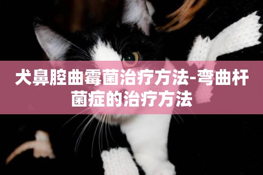 犬鼻腔曲霉菌治療方法-彎曲桿菌癥的治療方法
