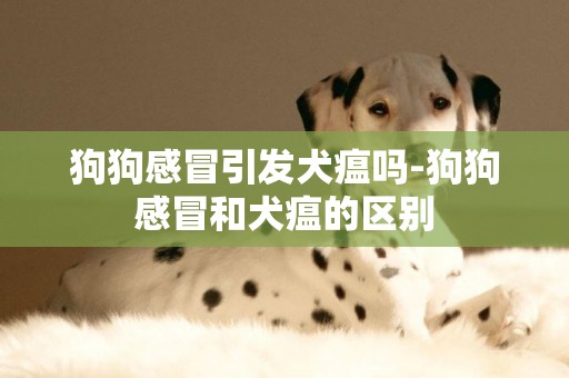 狗狗感冒引發犬瘟嗎-狗狗感冒和犬瘟的區別