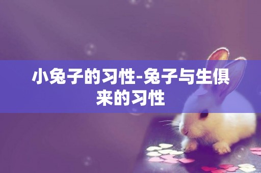 小兔子的習性-兔子與生俱來的習性