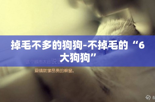 掉毛不多的狗狗-不掉毛的“6大狗狗”