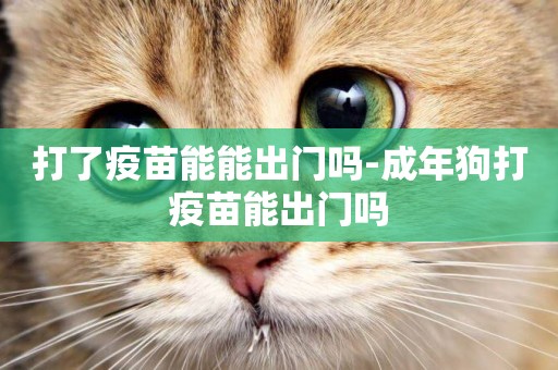 打了疫苗能能出門嗎-成年狗打疫苗能出門嗎