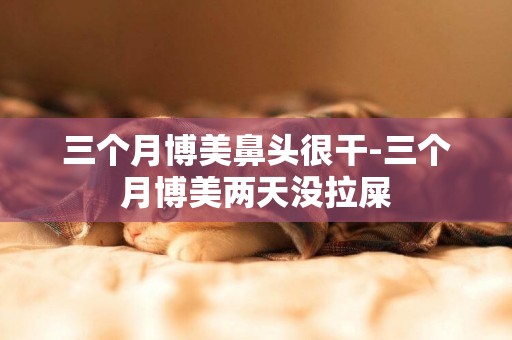 三個月博美鼻頭很干-三個月博美兩天沒拉屎