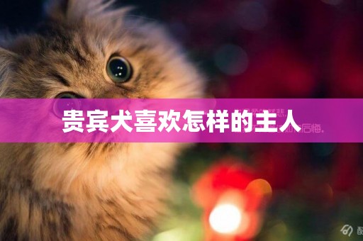 貴賓犬喜歡怎樣的主人