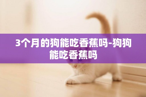 3個月的狗能吃香蕉嗎-狗狗能吃香蕉嗎