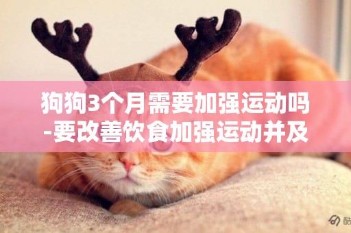 狗狗3個月需要加強運動嗎-要改善飲食加強運動并及時就診