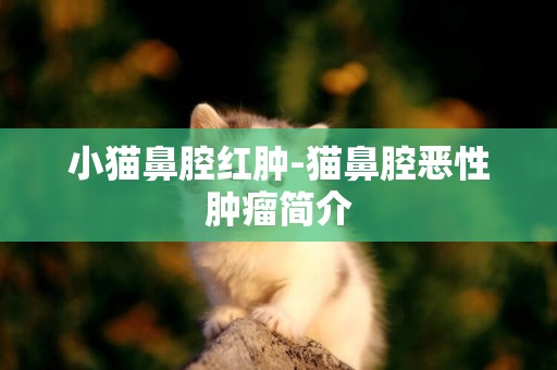 小貓鼻腔紅腫-貓鼻腔惡性腫瘤簡介