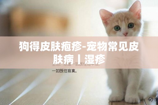 狗得皮膚皰疹-寵物常見皮膚病丨濕疹