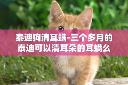 泰迪狗清耳螨-三個多月的泰迪可以清耳朵的耳螨么