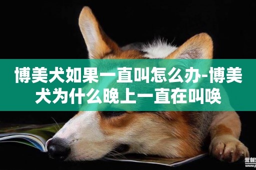 博美犬如果一直叫怎么辦-博美犬為什么晚上一直在叫喚
