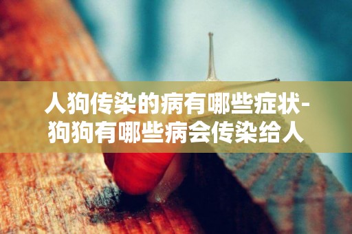 人狗傳染的病有哪些癥狀-狗狗有哪些病會傳染給人