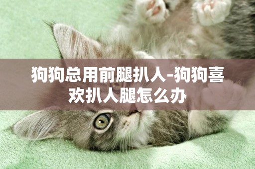 狗狗總用前腿扒人-狗狗喜歡扒人腿怎么辦