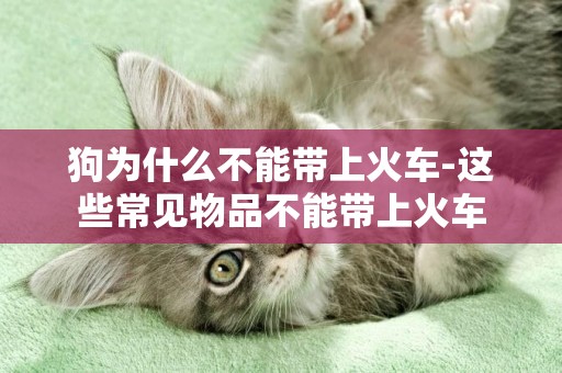 狗為什么不能帶上火車-這些常見物品不能帶上火車