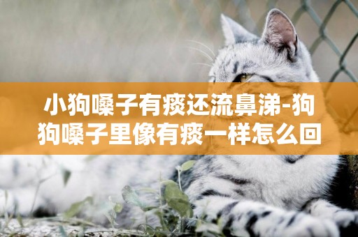 小狗嗓子有痰還流鼻涕-狗狗嗓子里像有痰一樣怎么回事
