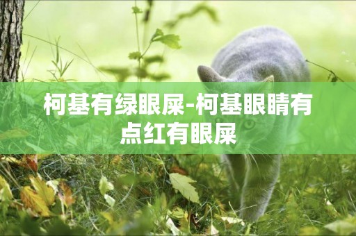 柯基有綠眼屎-柯基眼睛有點紅有眼屎