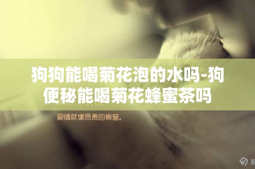 狗狗能喝菊花泡的水嗎-狗便秘能喝菊花蜂蜜茶嗎