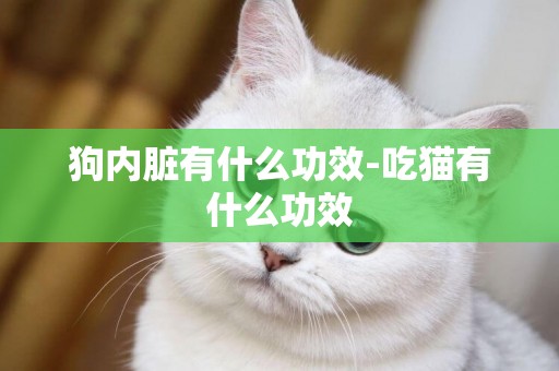 狗內臟有什么功效-吃貓有什么功效