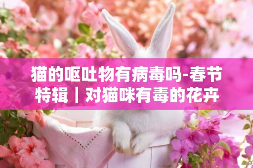 貓的嘔吐物有病毒嗎-春節特輯｜對貓咪有毒的花卉