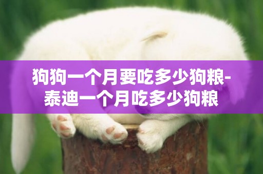 狗狗一個月要吃多少狗糧-泰迪一個月吃多少狗糧