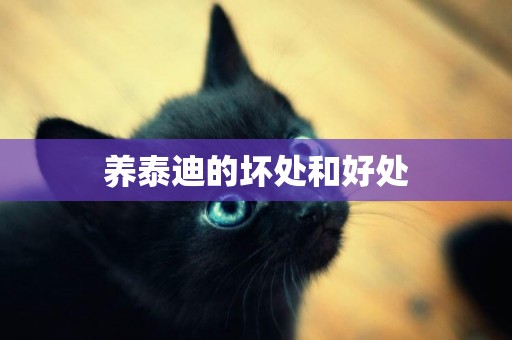 養泰迪的壞處和好處