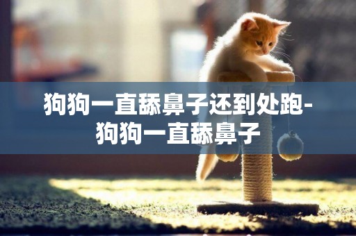 狗狗一直舔鼻子還到處跑-狗狗一直舔鼻子