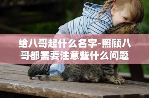 給八哥起什么名字-照顧八哥都需要注意些什么問題
