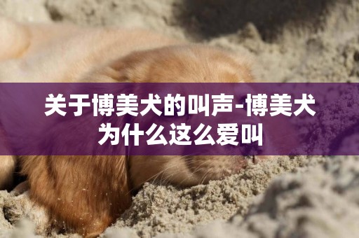 關于博美犬的叫聲-博美犬為什么這么愛叫