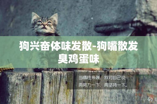 狗興奮體味發散-狗嘴散發臭雞蛋味