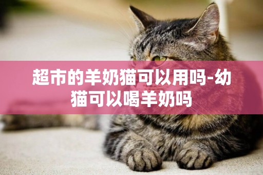 超市的羊奶貓可以用嗎-幼貓可以喝羊奶嗎