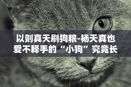 以則真天刷狗糧-楊天真也愛不釋手的“小狗”究竟長什么樣