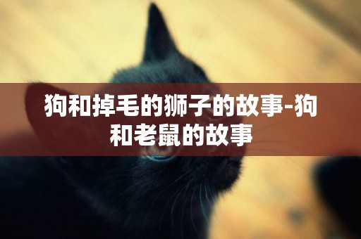狗和掉毛的獅子的故事-狗和老鼠的故事