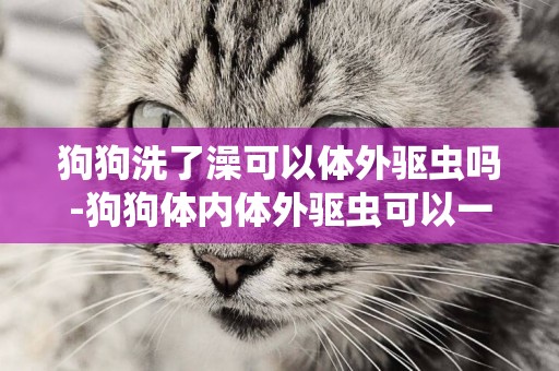 狗狗洗了澡可以體外驅蟲嗎-狗狗體內體外驅蟲可以一起進行嗎