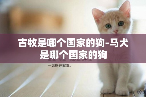 古牧是哪個國家的狗-馬犬是哪個國家的狗