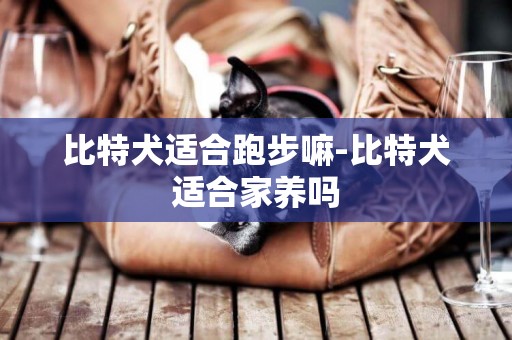 比特犬適合跑步嘛-比特犬適合家養嗎