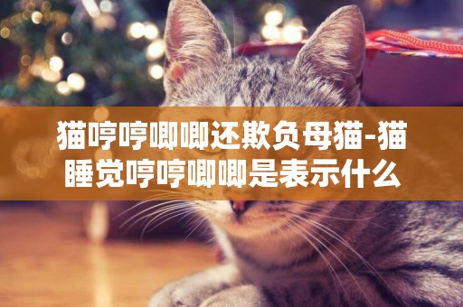 貓哼哼唧唧還欺負母貓-貓睡覺哼哼唧唧是表示什么