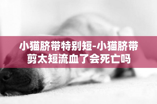 小貓臍帶特別短-小貓臍帶剪太短流血了會死亡嗎