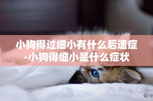 小狗得過細小有什么后遺癥-小狗得細小是什么癥狀