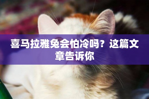 喜馬拉雅兔會怕冷嗎?這篇文章告訴你 喜馬拉雅兔會怕冷嗎?這篇文章告訴你