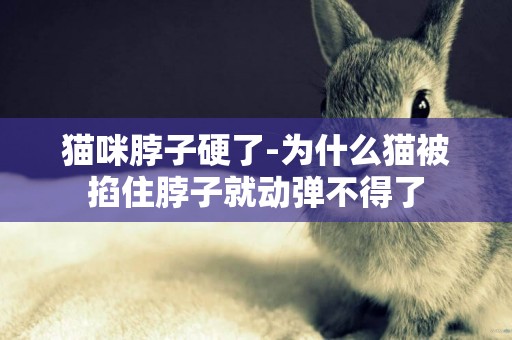 貓咪脖子硬了-為什么貓被掐住脖子就動彈不得了