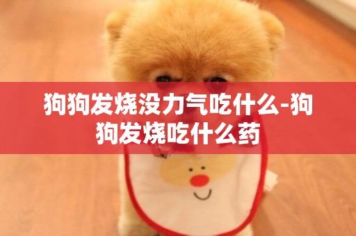 狗狗發燒沒力氣吃什么-狗狗發燒吃什么藥