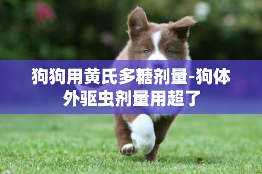 狗狗用黃氏多糖劑量-狗體外驅蟲劑量用超了