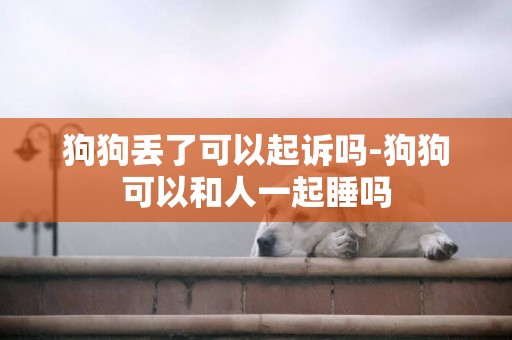 狗狗丟了可以起訴嗎-狗狗可以和人一起睡嗎